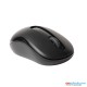 RAPOO M10 PLUS WIRELESS OPTICAL MOUSE (3Y)